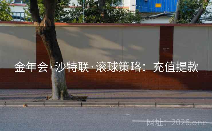 金年会·沙特联·滚球策略：充值提款  第2张