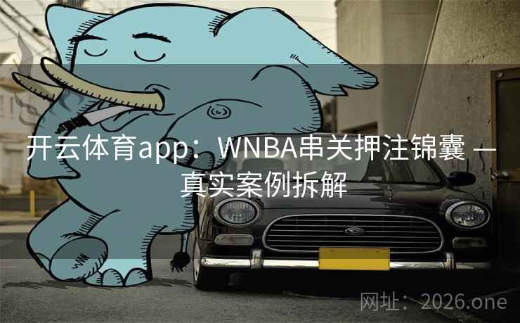 开云体育app：WNBA串关押注锦囊 — 真实案例拆解